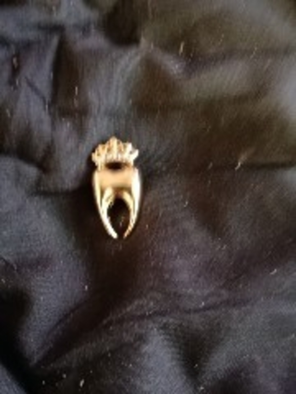18K Gold-plated Crown& Molar Pin
